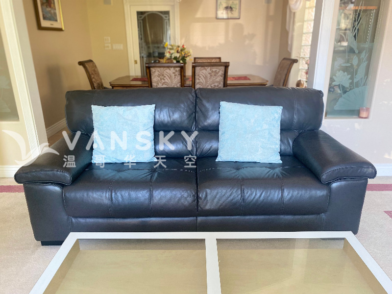 250518120404_Leather Sofa.jpg